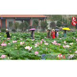 【乡村有约】乡村旅游看“龙兴”