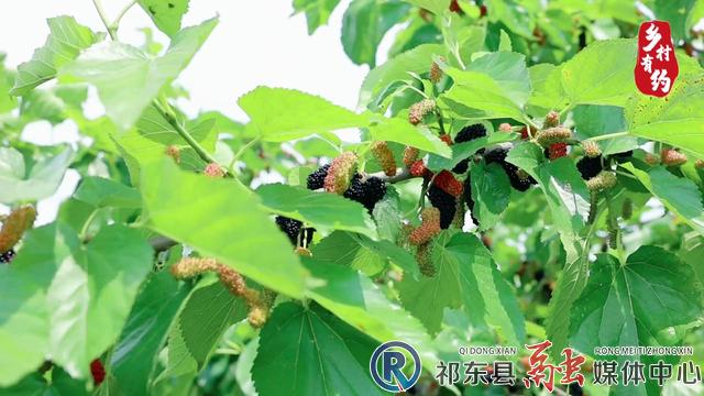 w_2022-05-05 11-09-40.jpg