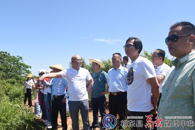 高龙村地处祁东县太和堂镇的最西端,毗邻邵阳县,距