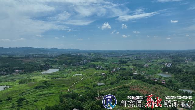 w_5a6631acace7271a3361b1317b42115 (2).jpg