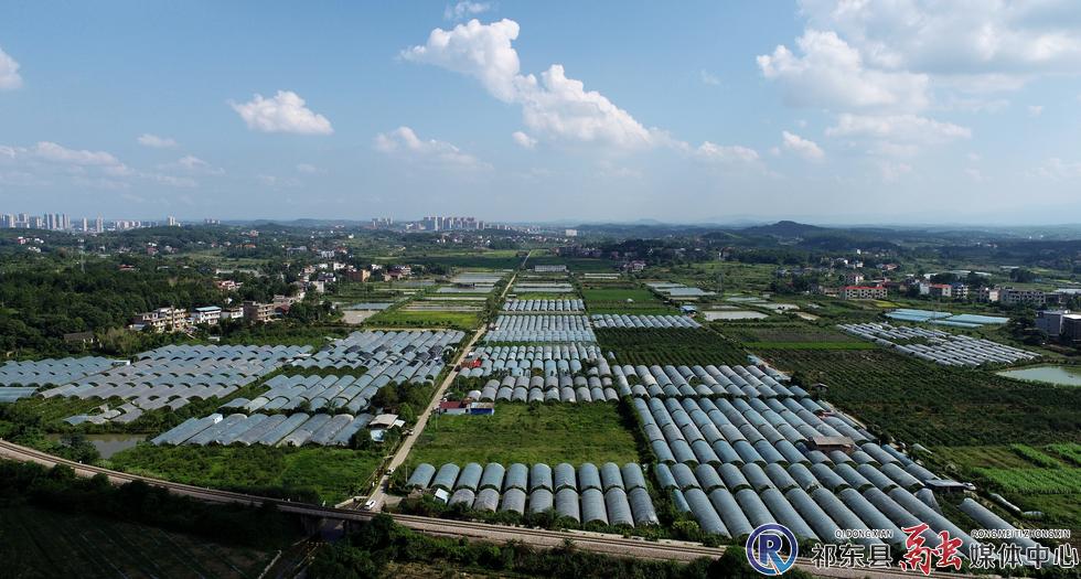 w_DJI_0582.JPG