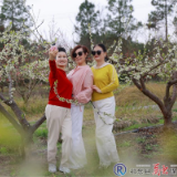 【春天里的祁东】双桥:李子花开白如雪 繁花似锦醉人心