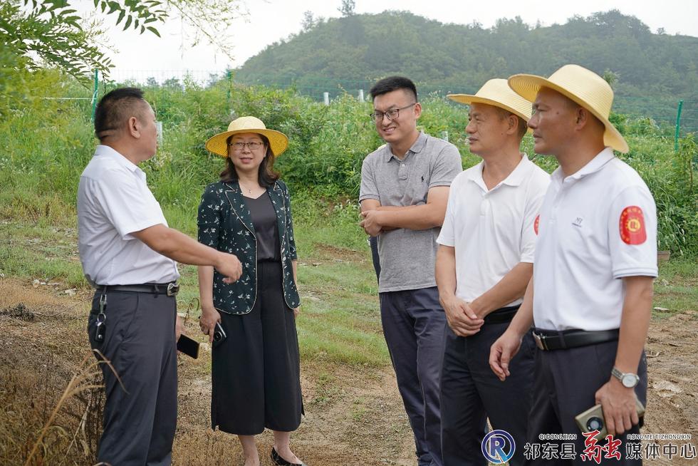 w_图片3.jpg