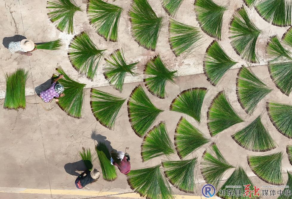 w_DJI_20250717095103_0606_D.jpg