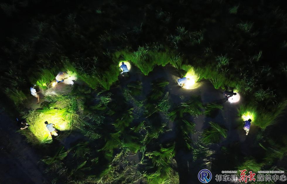 w_DJI_0141.jpg