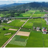 战高温 斗酷暑|我县2.25万亩高标准农田建设火热进行中