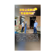 祁东公安抓获“专业偷鸡贼”