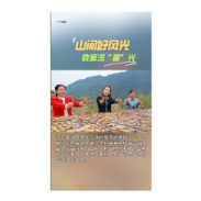  山间好风光 致富添“薯”光