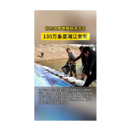 祁东开展增殖放流活动 130万鱼苗湘江安家