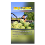  实现夏日吃瓜自由