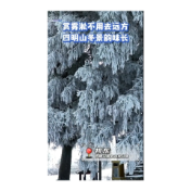  赏雾淞不用去远方 四明山冬景韵味长