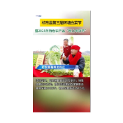  祁东县第三届砖塘白菜节暨2025年特色农产品“网上年货节”
