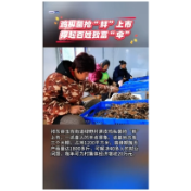  鸡枞菌抢“鲜”上市 撑起百姓致富“伞”