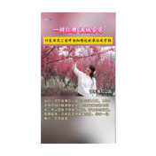  一树红樱 满城春意