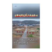  官家嘴黄花菜产业园启动