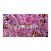 接下来的祁东是这样的