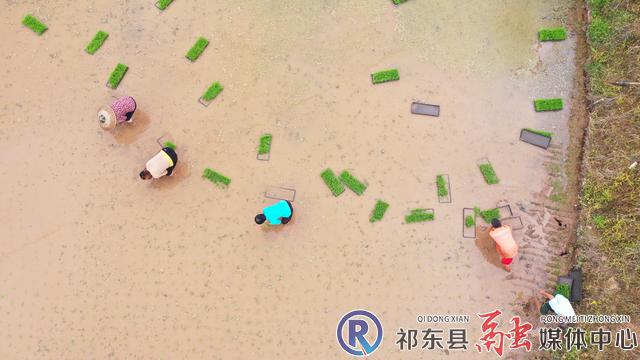 w_DJI_0619.JPG