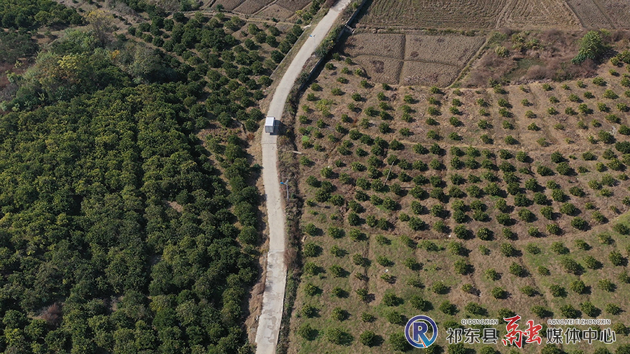 DJI_0010.MP4_snapshot_00.07.482.jpg