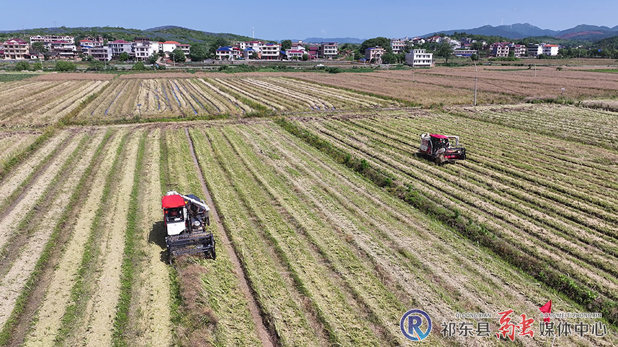 DJI_20250509095352_0517_D[00-00-04][20250509-135525811].jpg