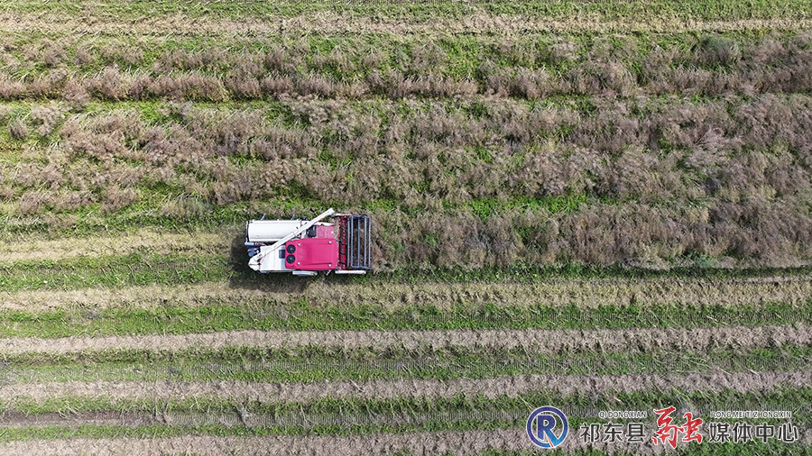 DJI_20250509100241_0531_D[00-00-01][20250509-135556304].jpg