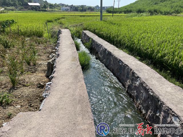 w_6f18623ab32452d50044bb5e0e9b293.jpg