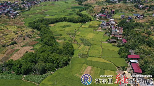 w_DJI_0611.JPG