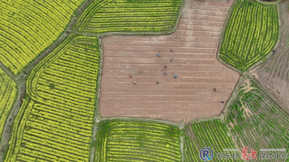 w_DJI_0788.JPG