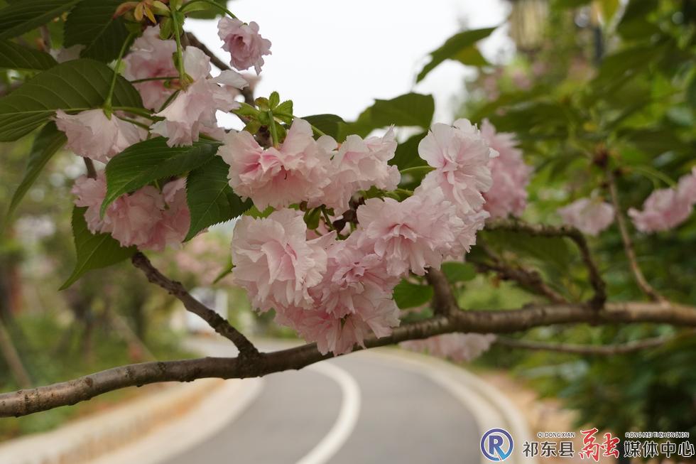 w_DSC03165.JPG