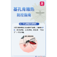 基孔肯雅热和登革热高发，提前做好防范