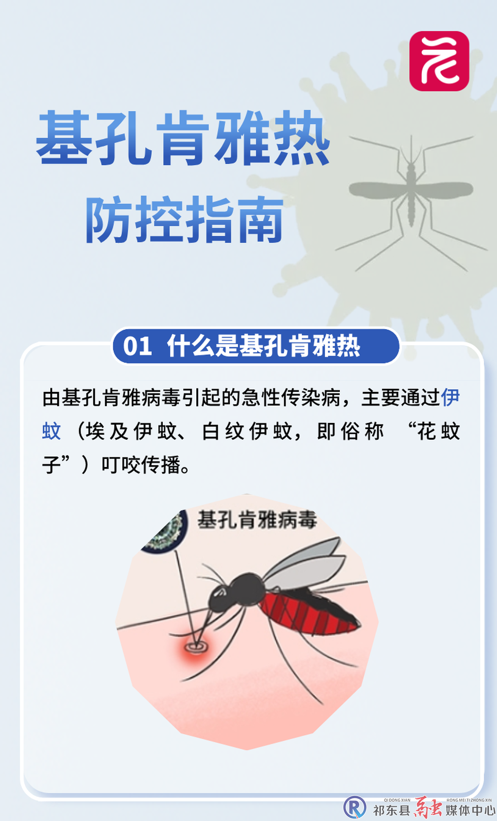 w_图片1.png