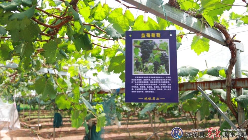 w_微信图片_20250710184634.png