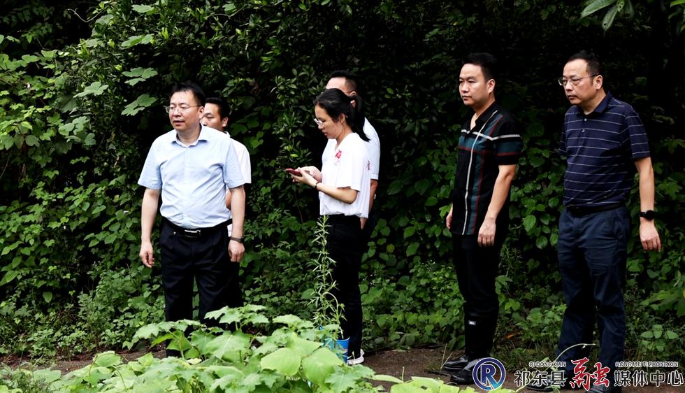 w_微信图片_20240817212913.jpg