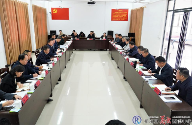 省市领导赴玉合街道玖隆村调研乡村振兴工作