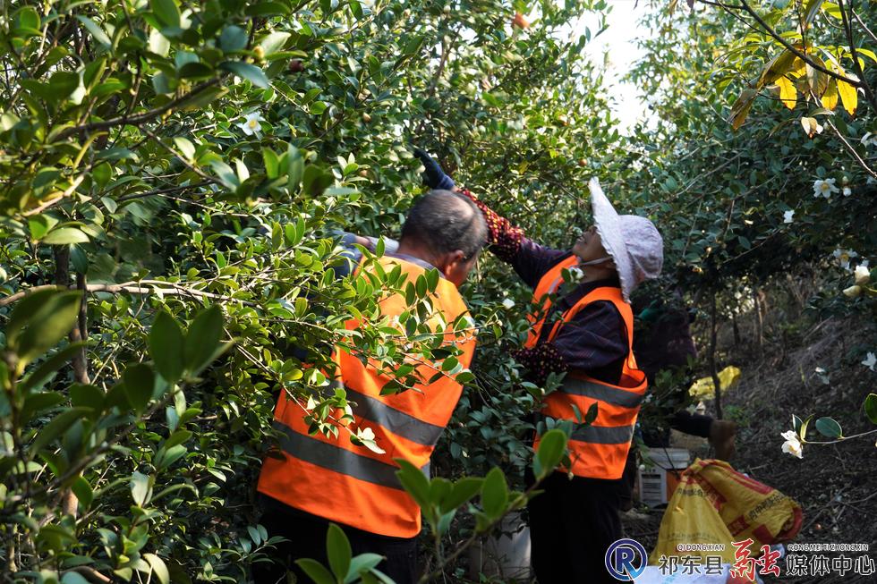 w_DSC03396.jpg w_DSC03396.jpg