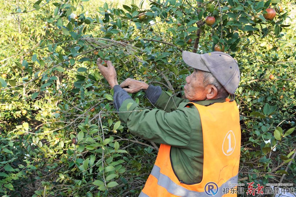 w_DSC03356.jpg w_DSC03356.jpg