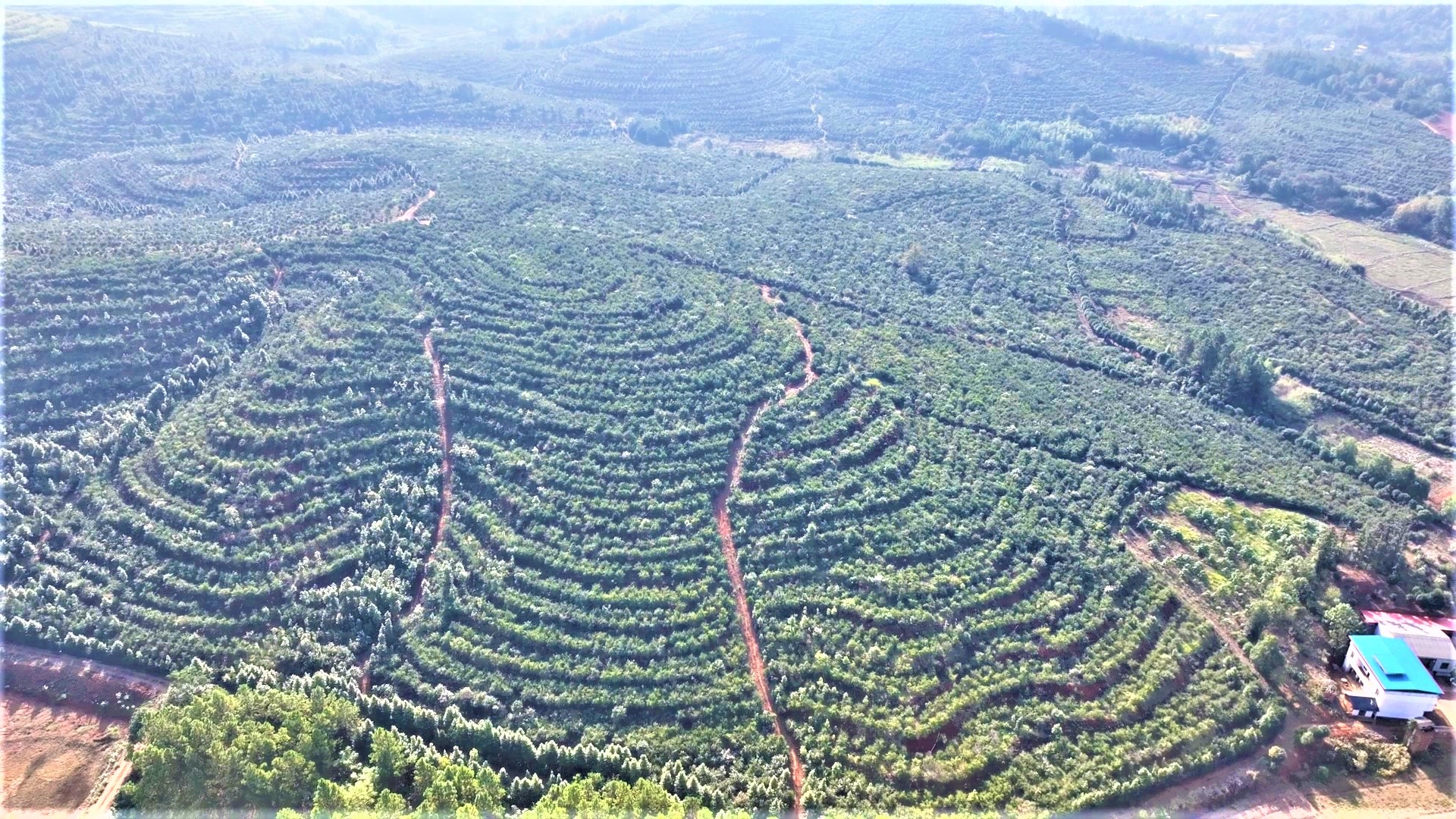 DJI_0949.MP4_20251117_104639.890.jpg DJI_0949.MP4_20251117_104639.890.jpg