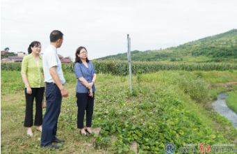 加强督导  全力推进巡河巡田巡林和安全生产工作