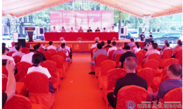 祁东步云桥乡贤捐资200多万元改造家乡公路