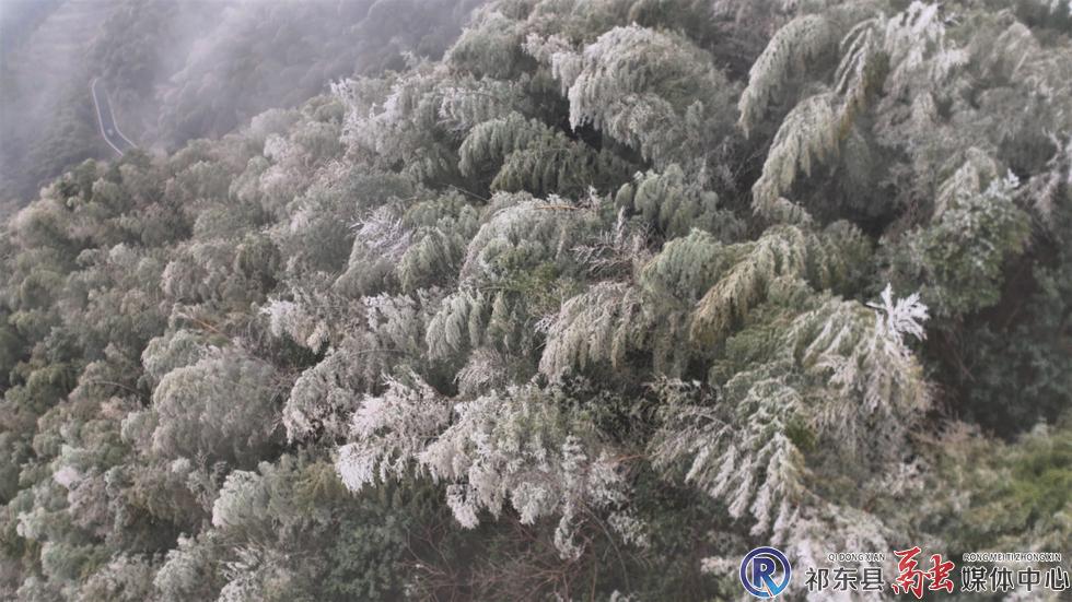 w_DJI_20260120163944_0484_D.MP4_20260122_105959.888.jpg w_DJI_20260120163944_0484_D.MP4_20260122_105959.888.jpg