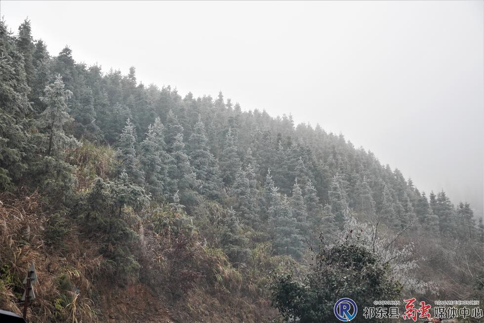 w_DSC06637.jpg w_DSC06637.jpg