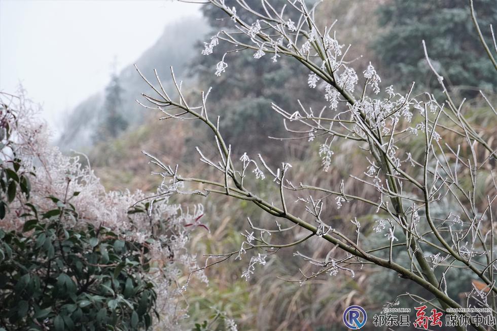 w_DSC06632.jpg w_DSC06632.jpg