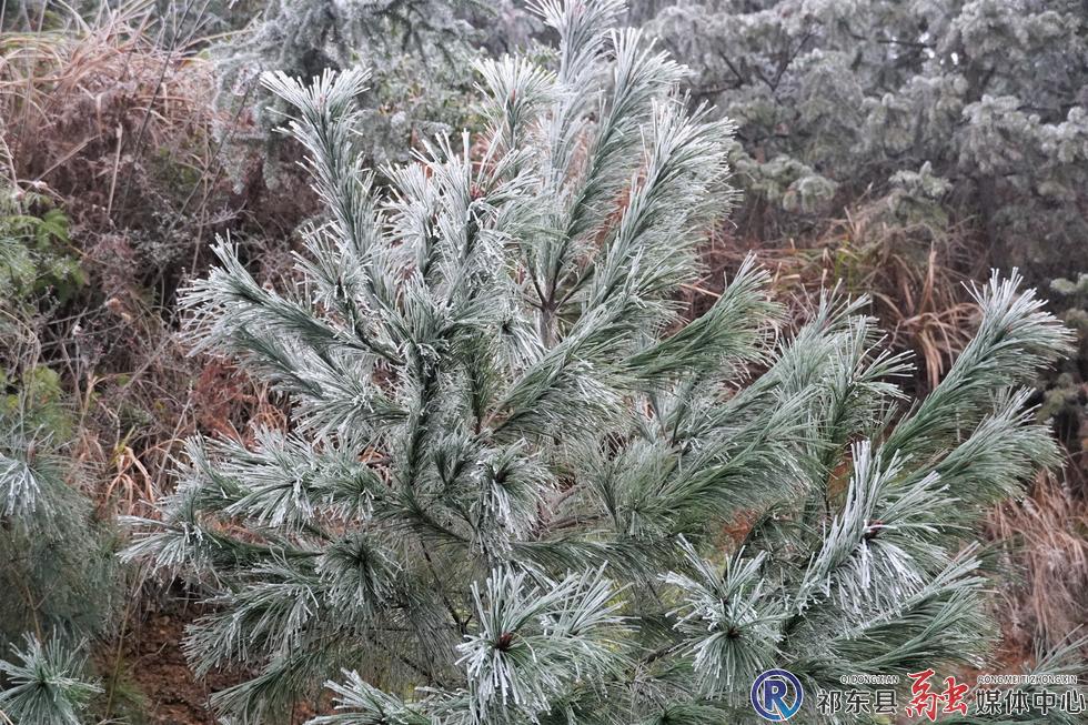 w_DSC06627.jpg w_DSC06627.jpg