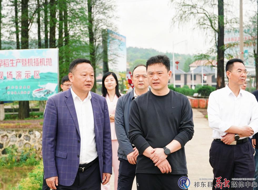 w_微信图片_20260415090505_376_71.jpg w_微信图片_20260415090505_376_71.jpg