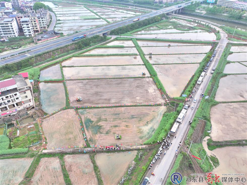 w_DJI_20260409095359_0258_D.jpg w_DJI_20260409095359_0258_D.jpg