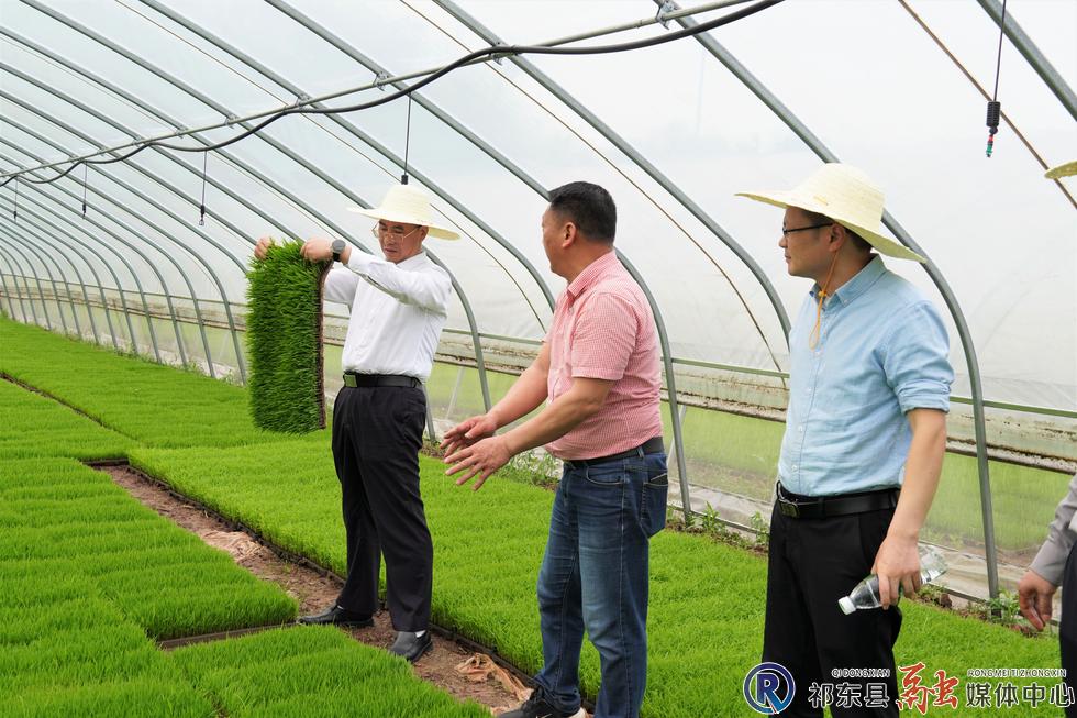 w_DSC08205.jpg w_DSC08205.jpg