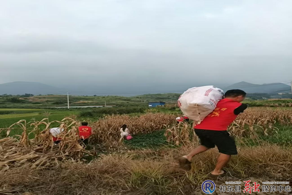 w_图片2.png