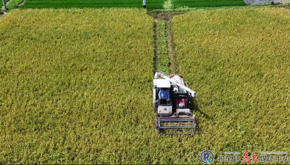 w_微信图片_20250716171751.png