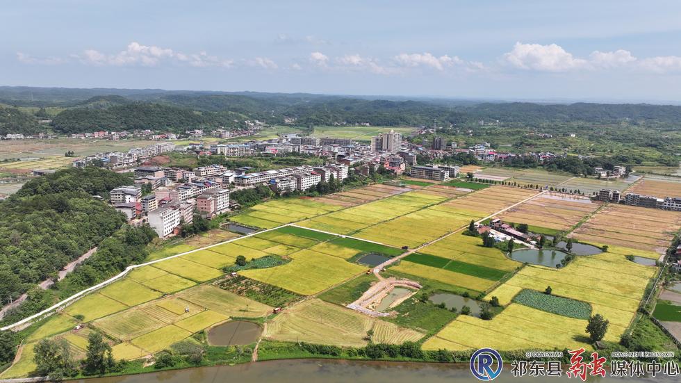 w_DJI_20250716143805_0014_D.JPG