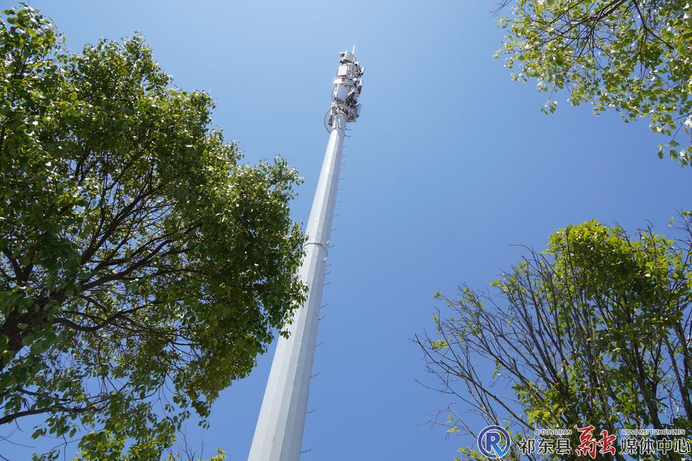 w_DSC04067.JPG