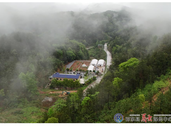 绿野村开心农场：近郊休闲好去处 